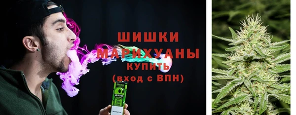 mdpv Богданович