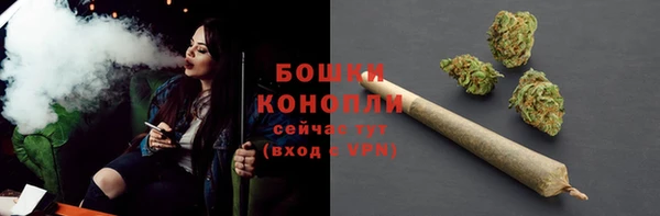 PSILOCYBIN Богородицк