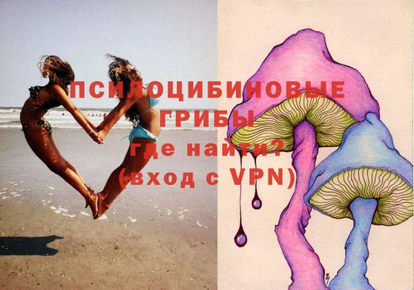 mdpv Богданович