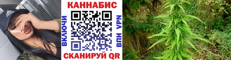 блэк спрут зеркало  Волчанск  Шишки марихуана OG Kush 